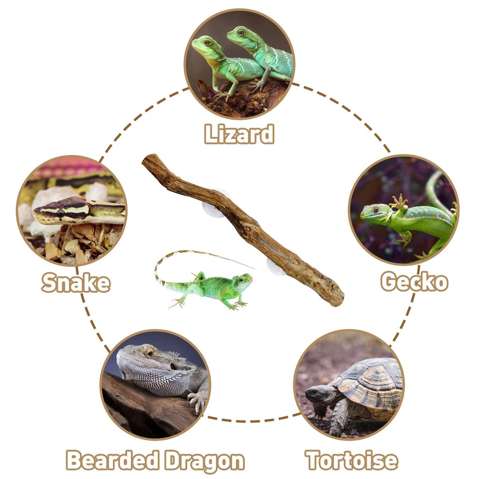 Home Decor Habitat - Wooden Snake Climbing Branch Reptile Climbing