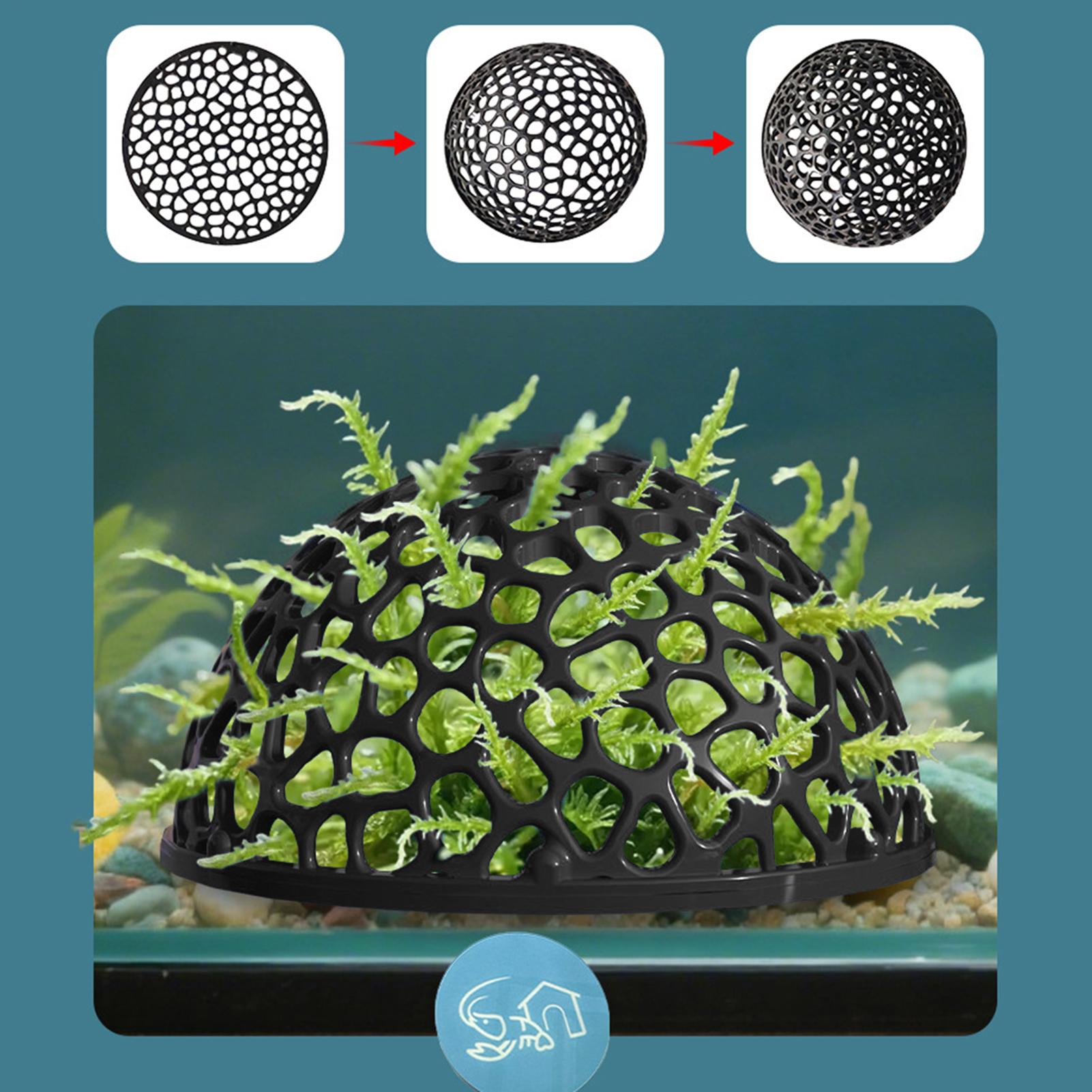 Home Decor Habitat - A Shrimp Breeding Cave fish tank
