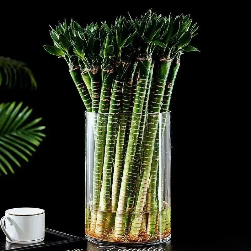 Home Decor Youtube - 2/4pc Acrylic Cylinder Vase Transparent Straight