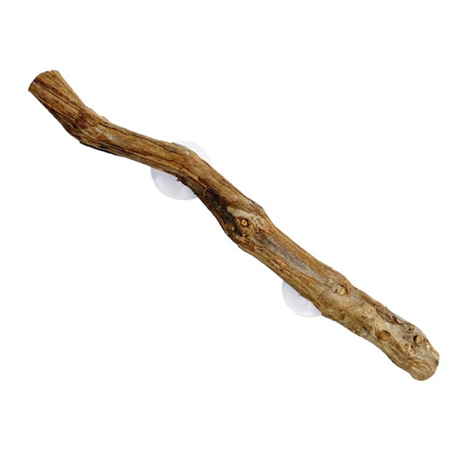 Reptile Branch Unique Bearded  - огляд і ціна Home Decor Habitat