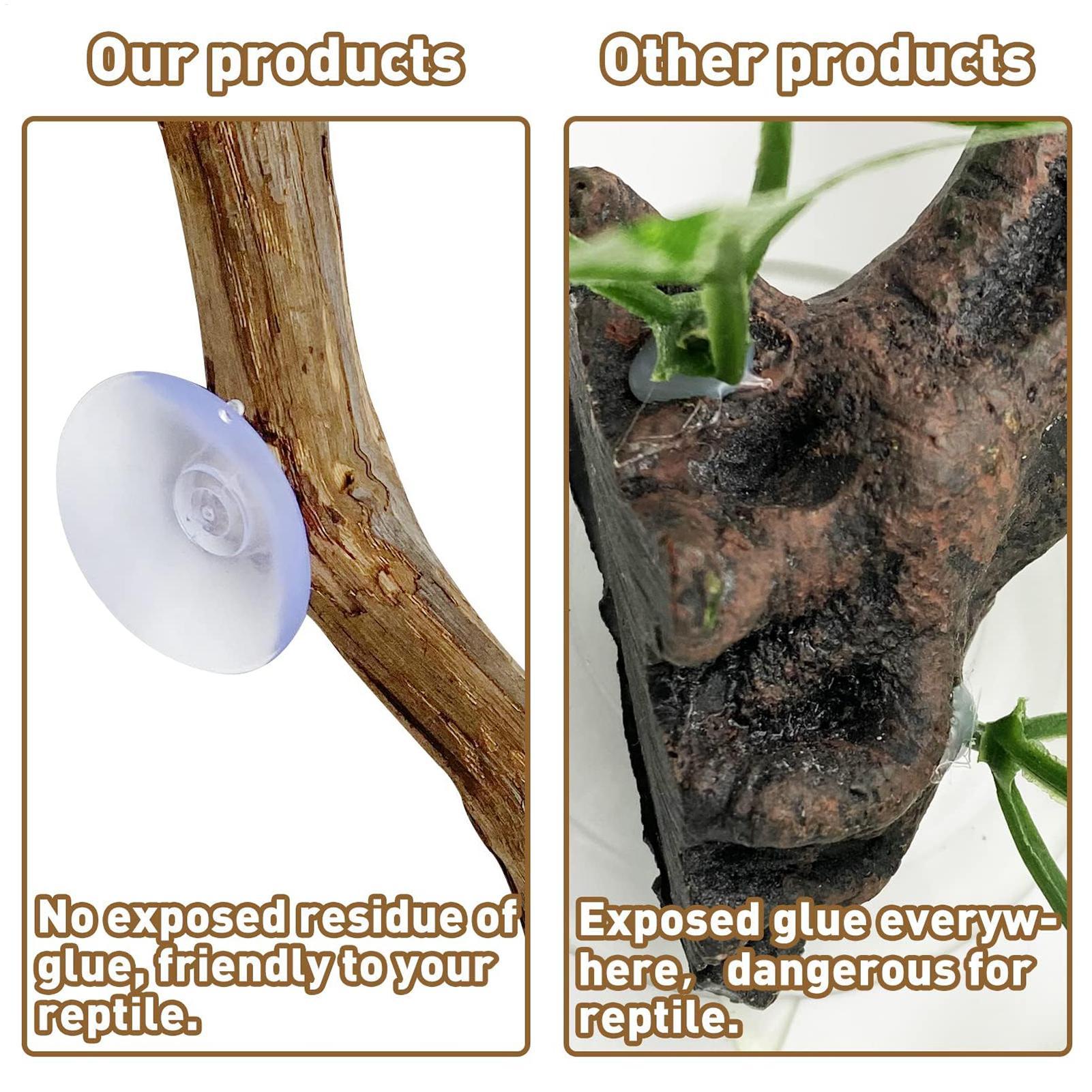 Reptile Branch Unique Bearded  - огляд і ціна Home Decor Habitat