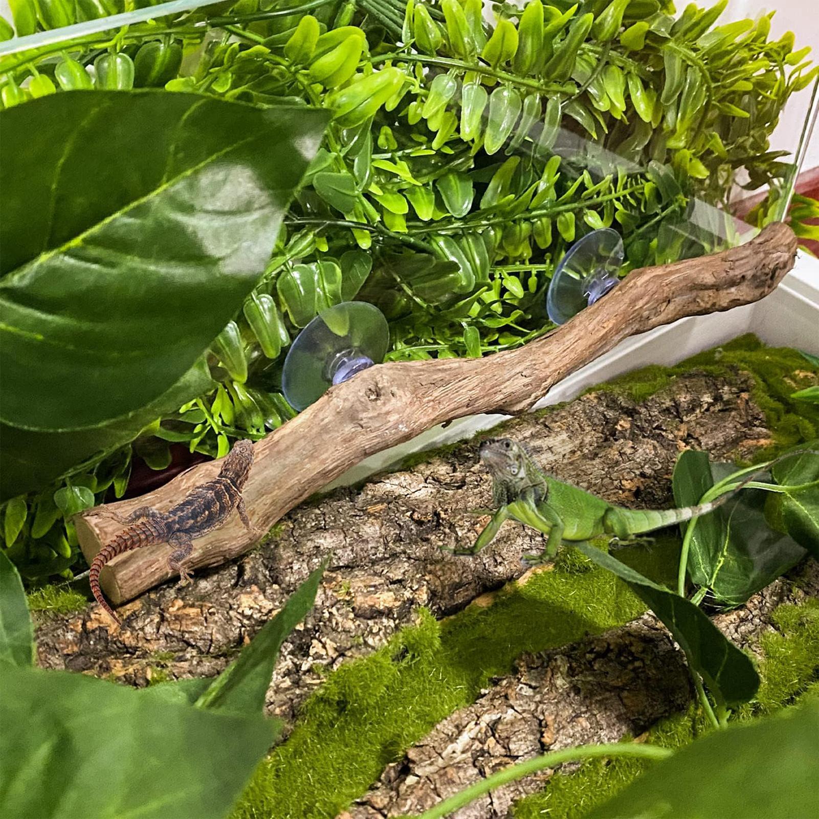 Reptile Branch Unique Bearded  - огляд і ціна Home Decor Habitat
