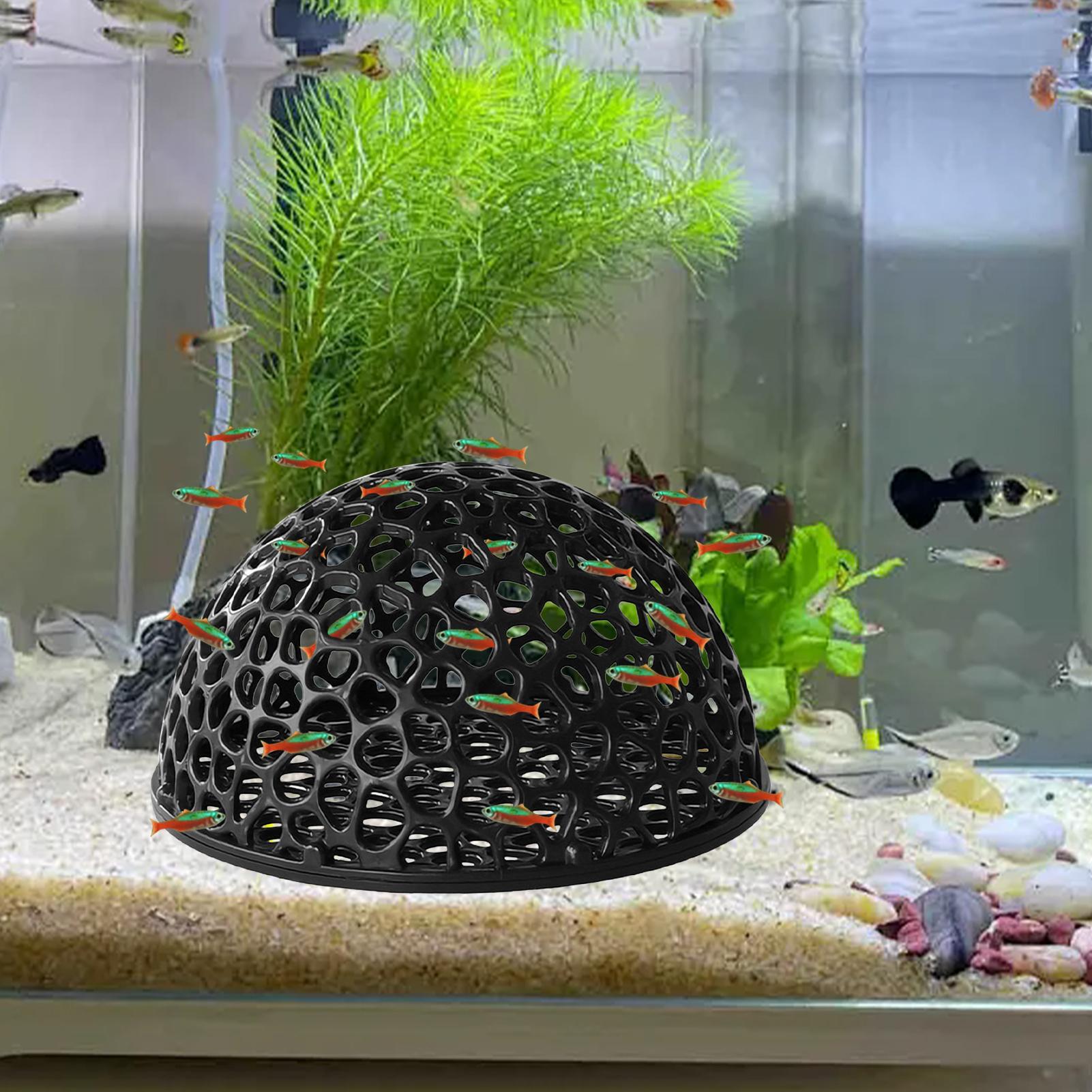 Shrimp Breeding Cave fish tank - огляд і ціна Home Decor Habitat