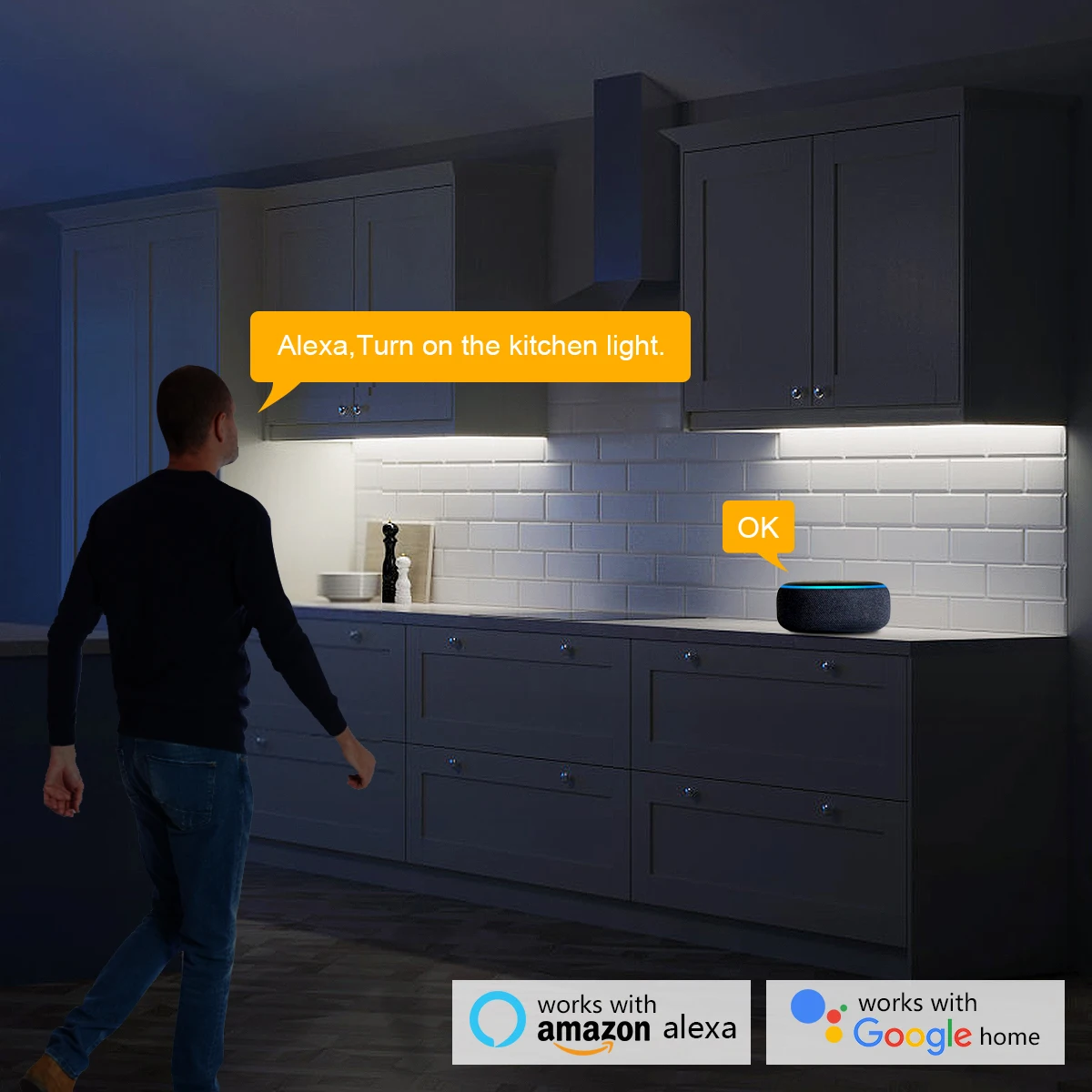 Smart Home Zigbee Tuya Voice C - огляд і ціна Home Decor App Free