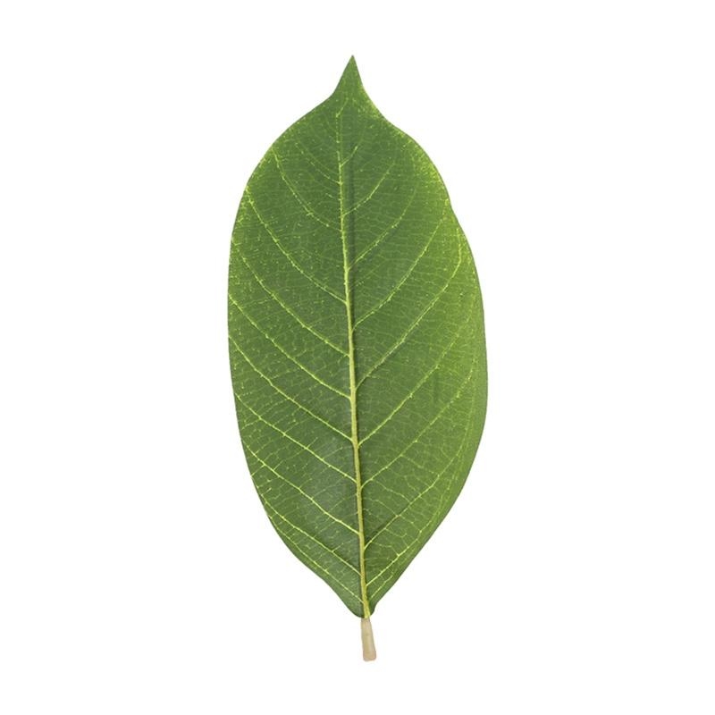 Artificial Green Magnolia Leav - огляд і ціна Artificial Hanging Plants