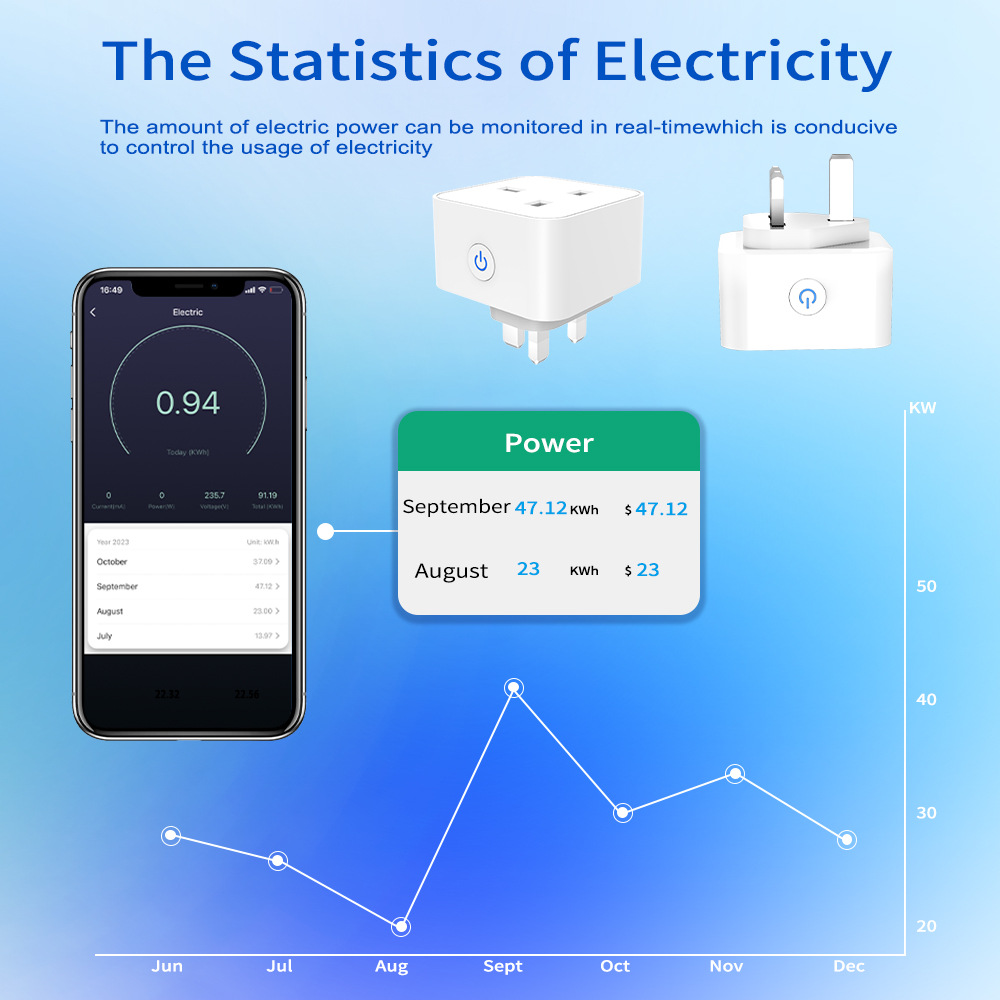 Tuya Smart Socket 16A/20A WiFi - огляд і ціна Home Decor Uk