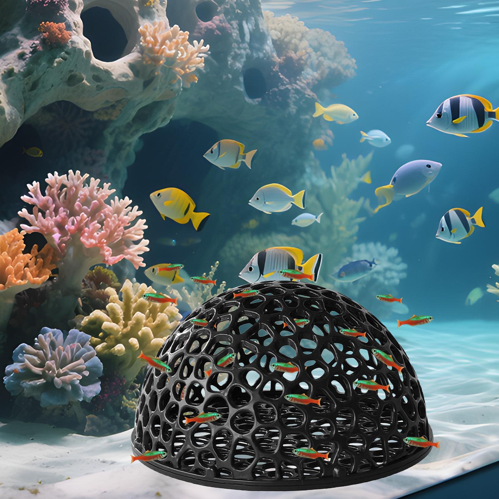Shrimp Hide Breeding Hide Shri - огляд і ціна Home Decor Habitat