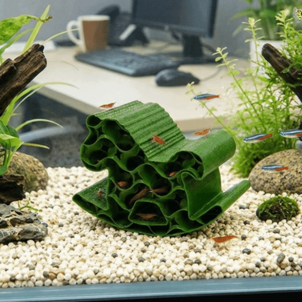 Creative 3D Printed Fish Hollo - огляд і ціна Home Decor Habitat
