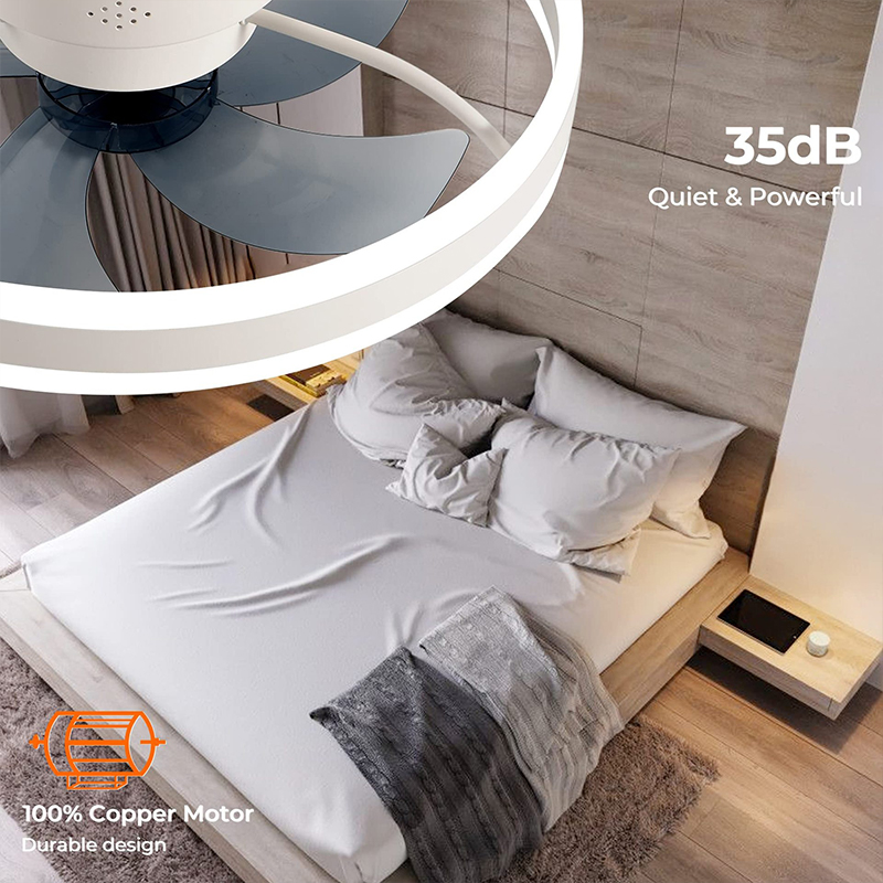 LED Ceiling Light Fan With APP - огляд і ціна Home Decor App Free